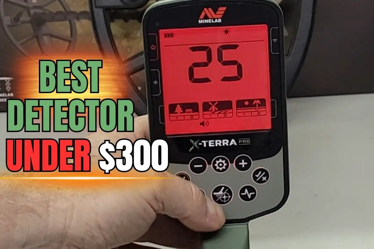 Best Detector Under $300
